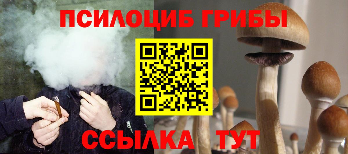 Псилоцибиновые грибы Psilocybine cubensis  Вход с VPN  наркошоп  Горячий Ключ 